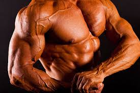 Big Muscle Anabolic Supplement