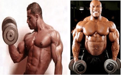 Anabolic Muscle Builder Guide