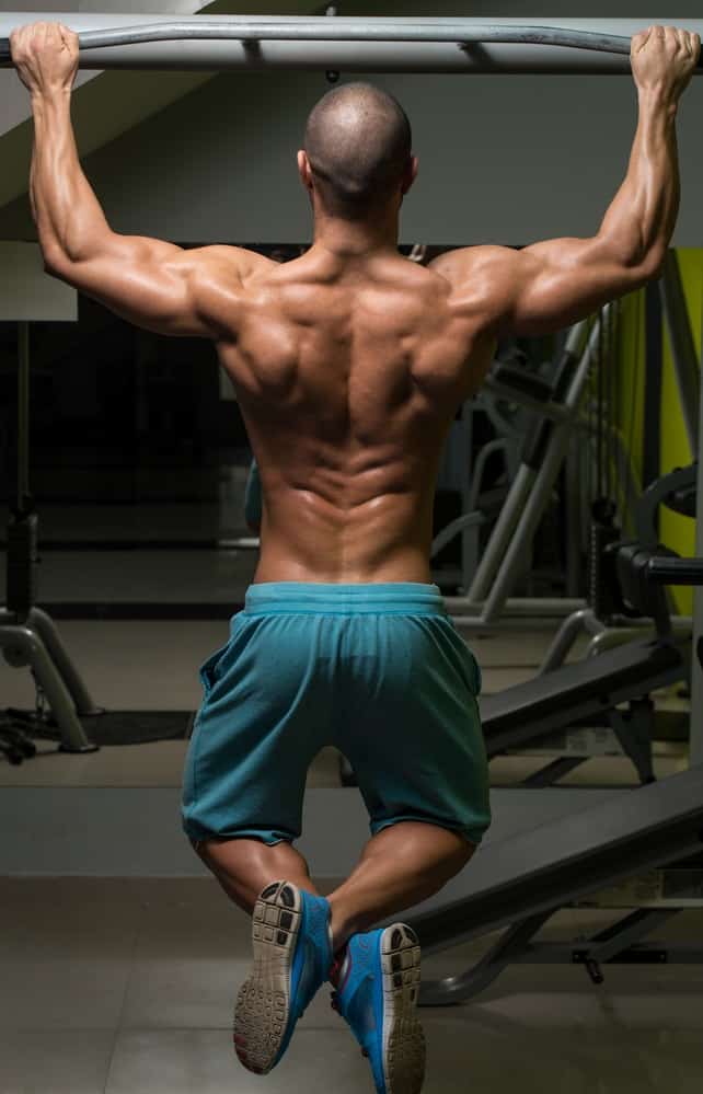Workout Pull Up Exercise Workout Pull Up Exercise
