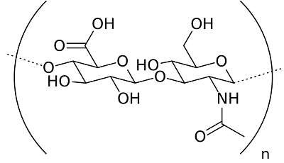 Hyaluronic Acid