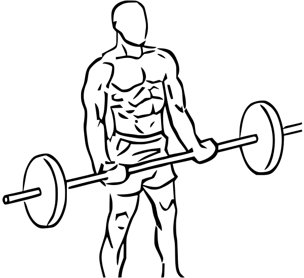 Barbell Curl Man