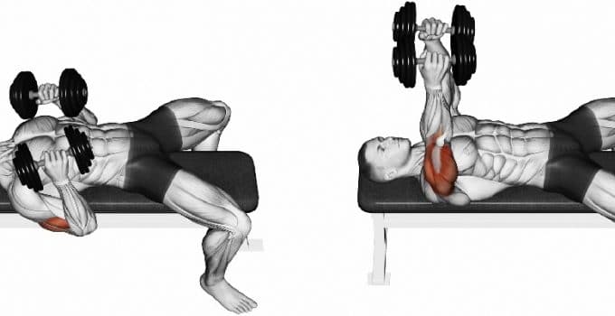 Flat Dumbbell Press