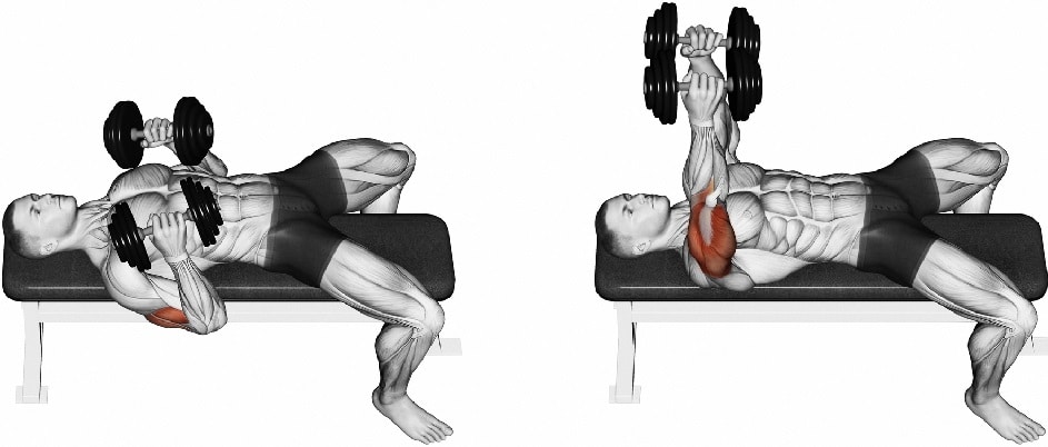 Dumbbell Flat Press