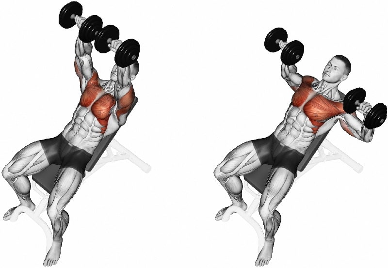 Incline Dumbbell Press for chest mass